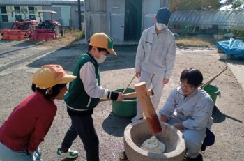 生物生産科グリーンコースが市江小学校5年生と餅つき