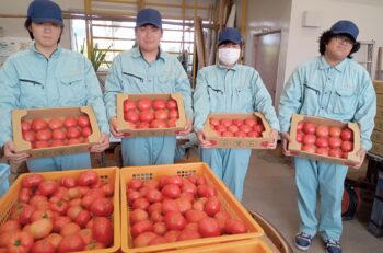 中間考査前日の農業科の実習
